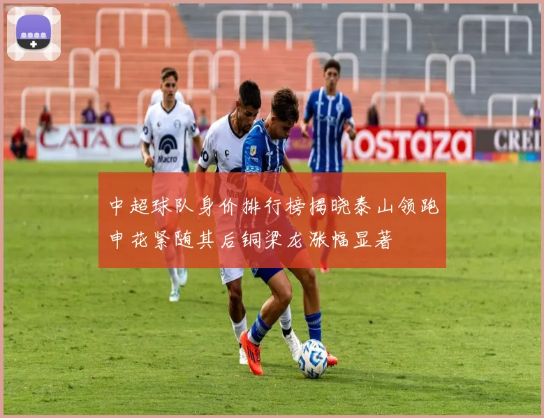 中超球队身价排行榜揭晓泰山领跑申花紧随其后铜梁龙涨幅显著